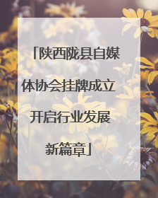 陕西陇县自媒体协会挂牌成立 开启行业发展新篇章